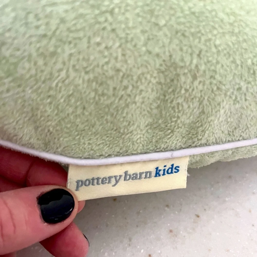Pottery Barn Kids Plush Double Sided Boppy Pillow - Picture 2 of 3